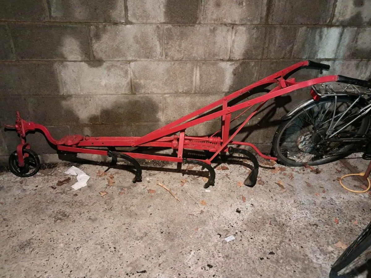 Renovated Plough - Image 1