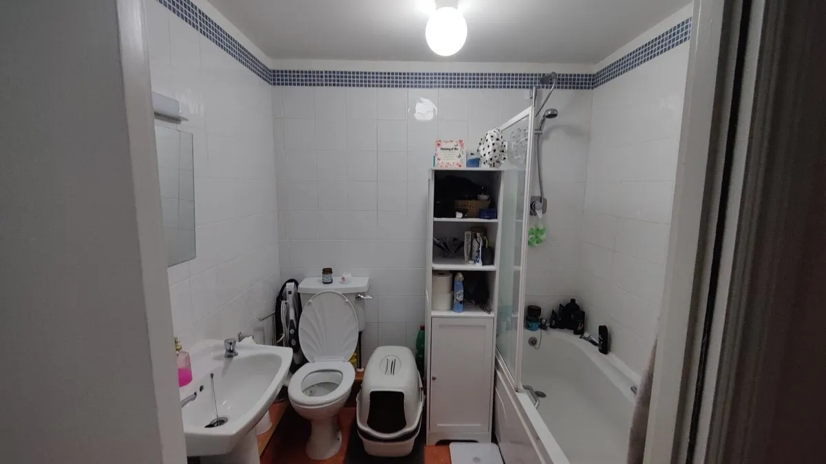 Bathroom fixtures - Toilet seat, bath & sink