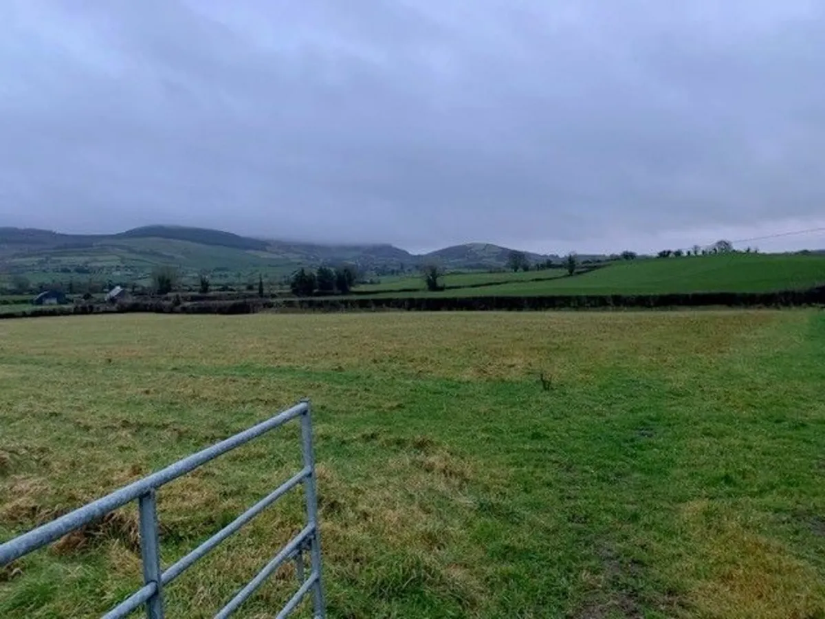 Lands to let In Templederry, Co. Tipperary - Image 4