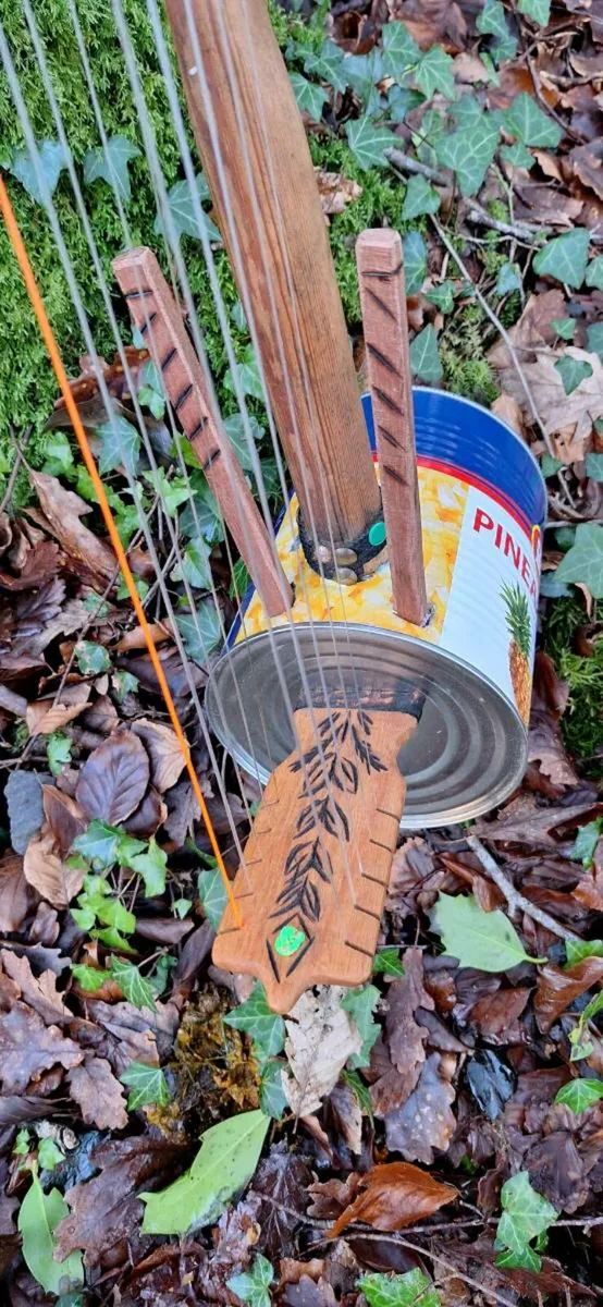 N'goni harp - Image 3