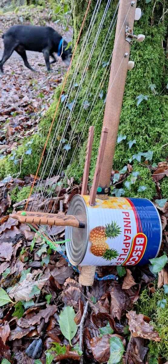 N'goni harp - Image 1