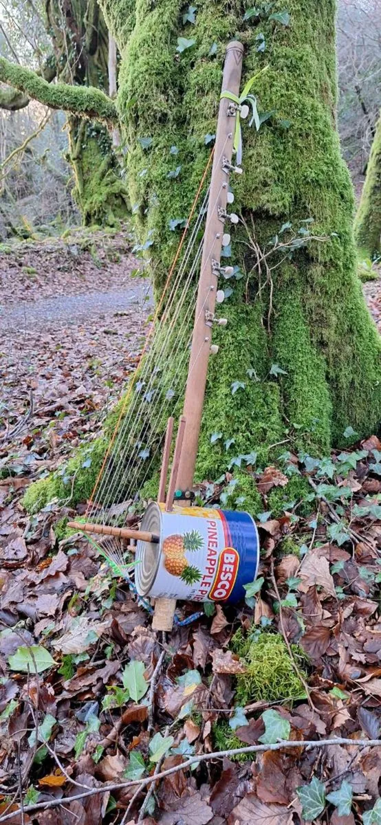 N'goni harp - Image 2