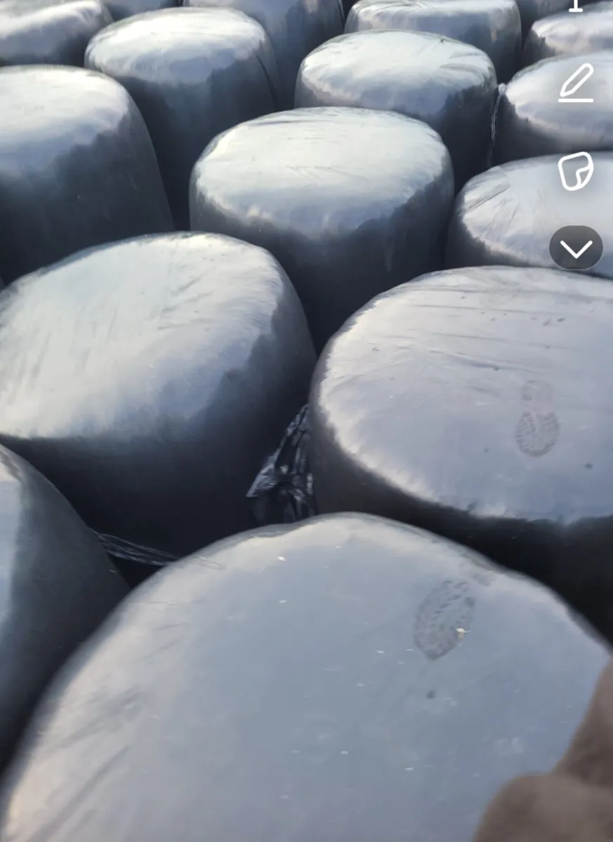 Silage Bales 2025 - Image 3