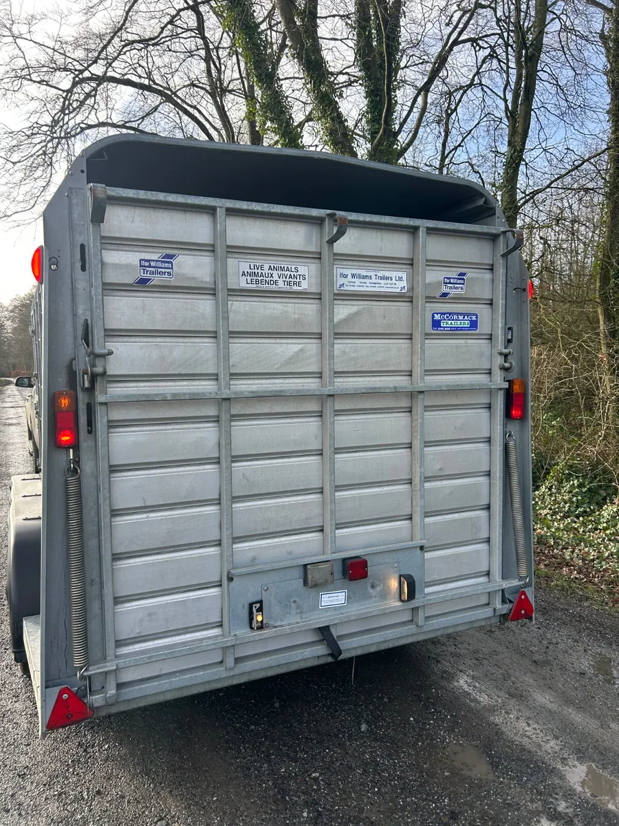 2021 Ifor Williams 14ft Ta510 Livestock Trailer - Image 2