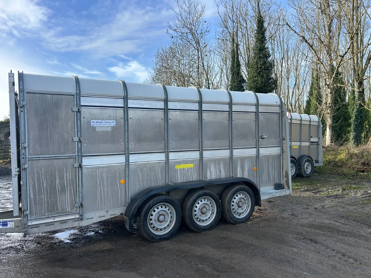 2021 Ifor Williams 14ft Ta510 Livestock Trailer - Image 1