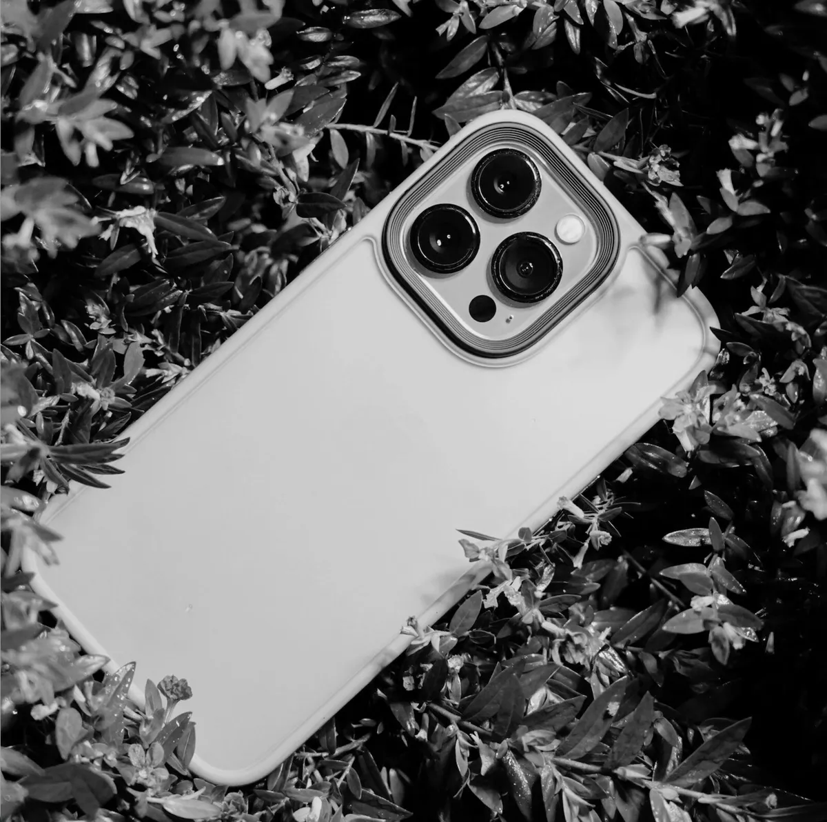 Social Media Help Available - Image 1