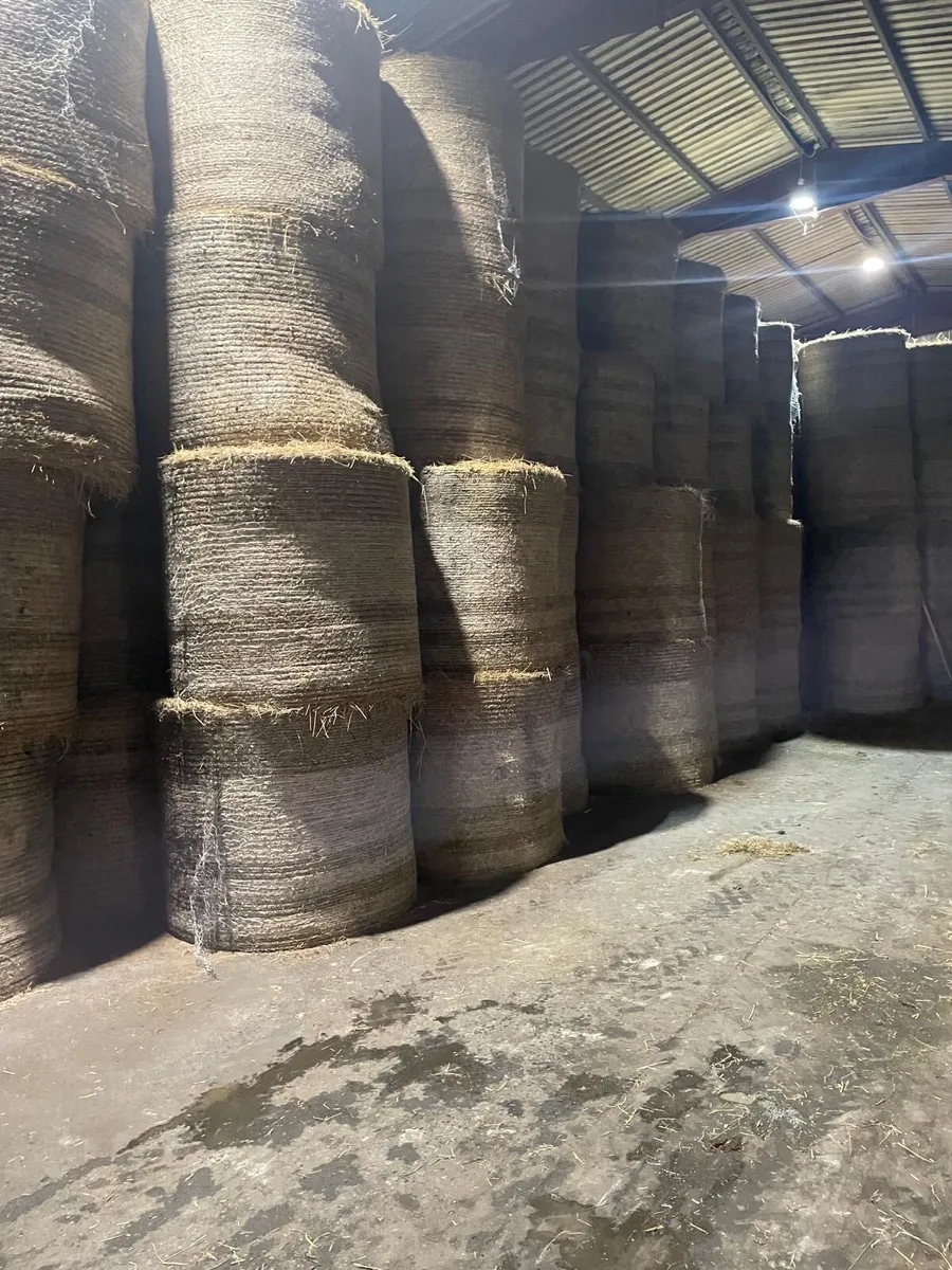 HAY FOR SALE - Image 2