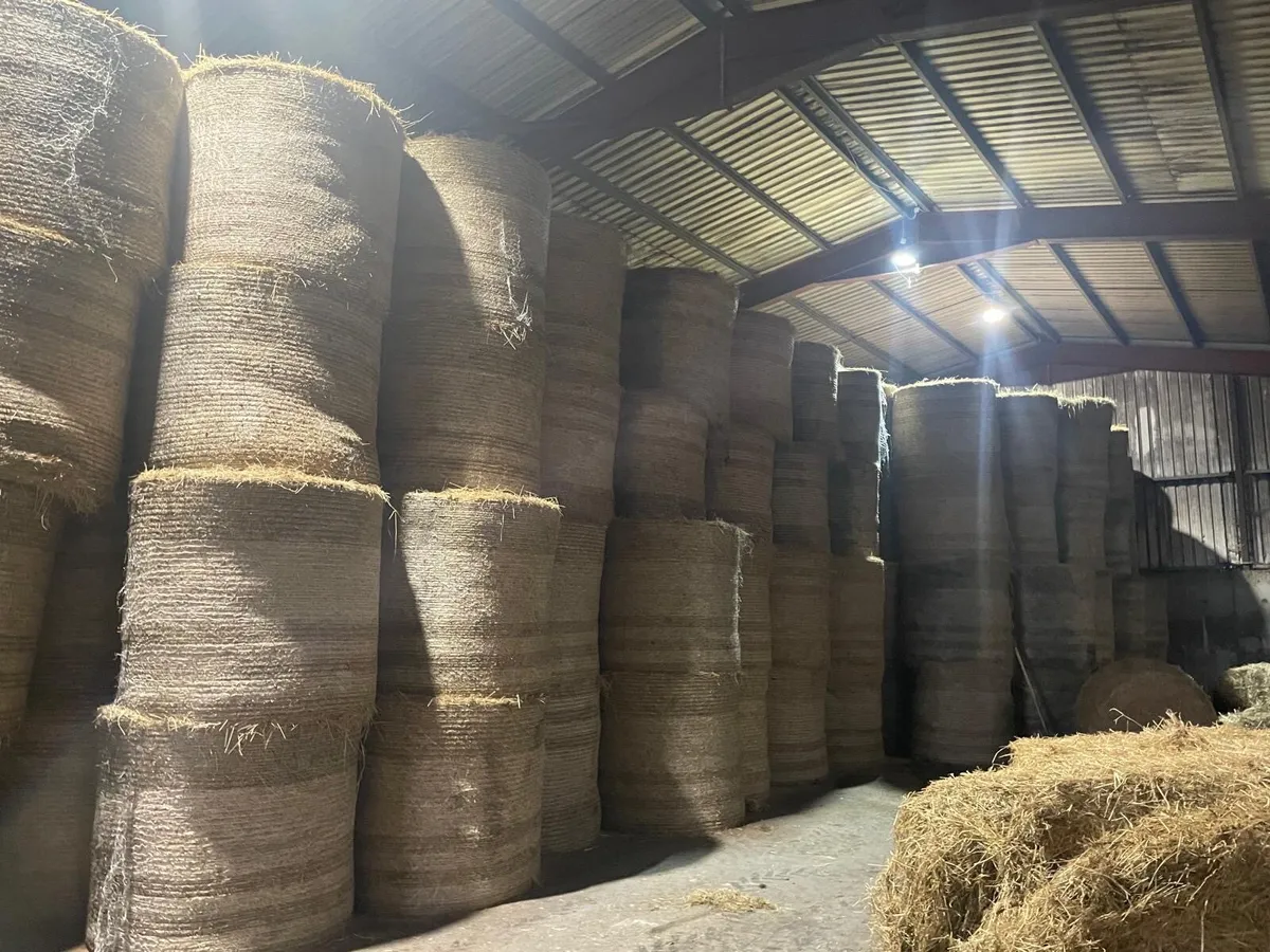 HAY FOR SALE - Image 3