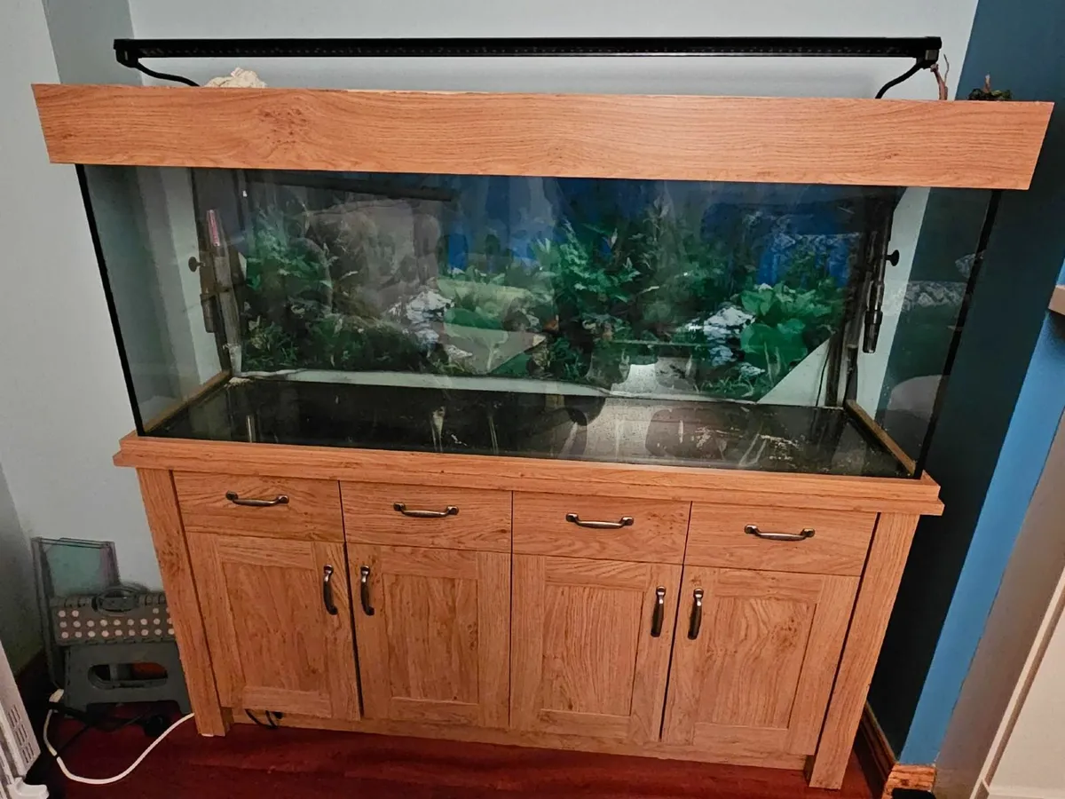 Aquarium - Image 1