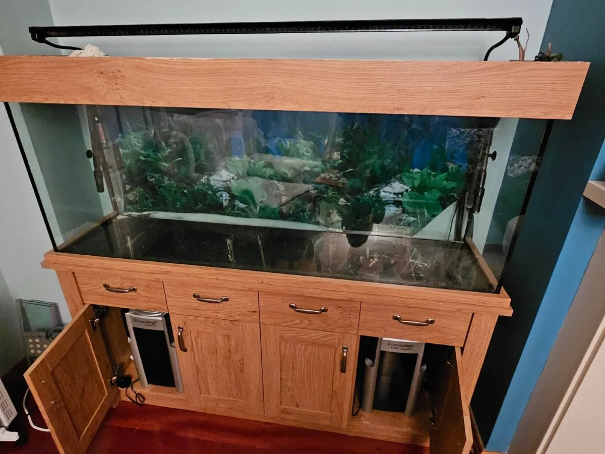 Aquarium - Image 3