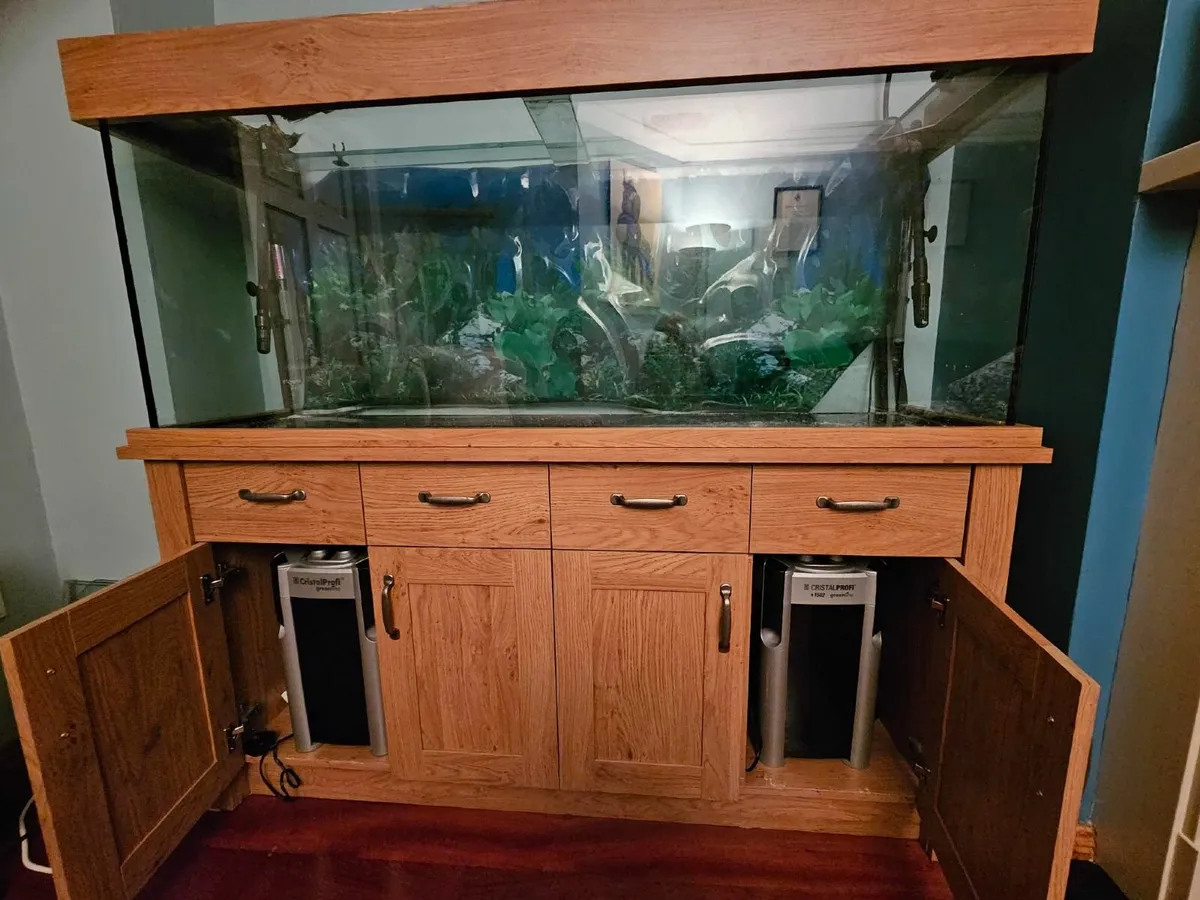 Aquarium - Image 2