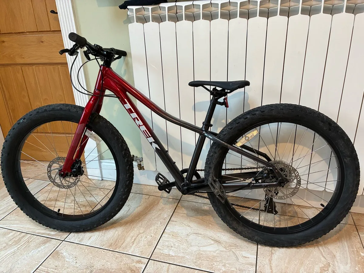 Trek Roscoe 20 Mountain Bile - Image 1