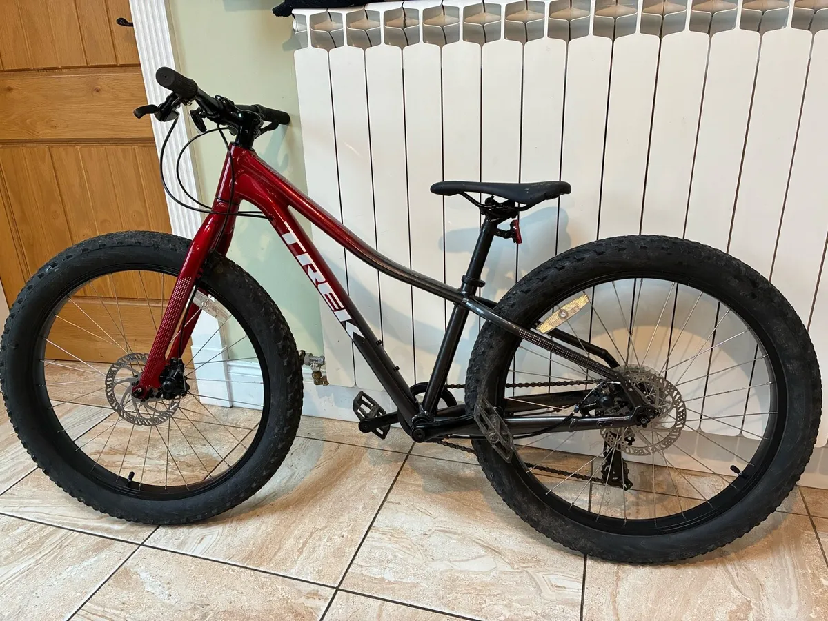 Trek Roscoe 20 Mountain Bile - Image 2