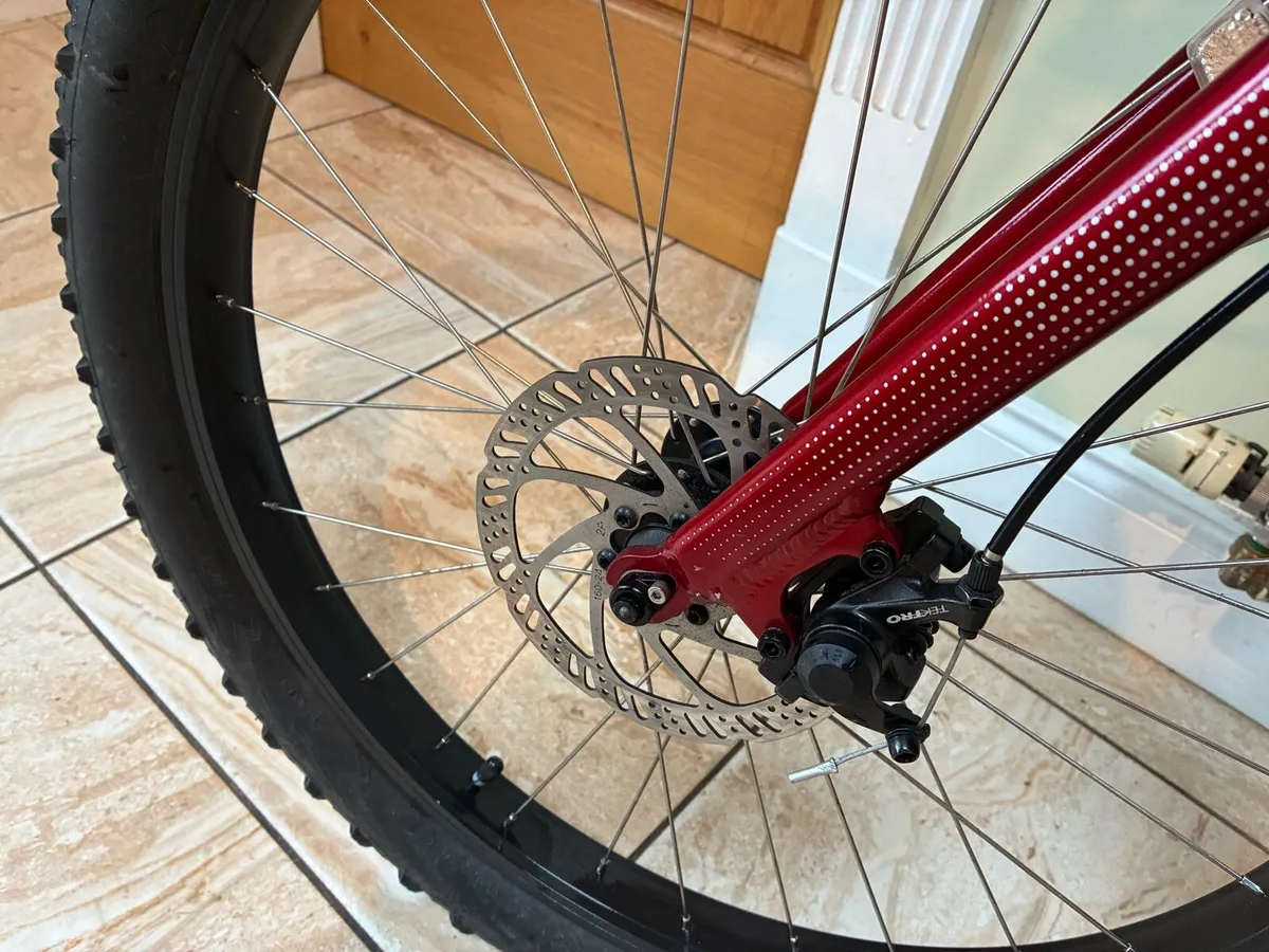 Trek Roscoe 20 Mountain Bile - Image 4