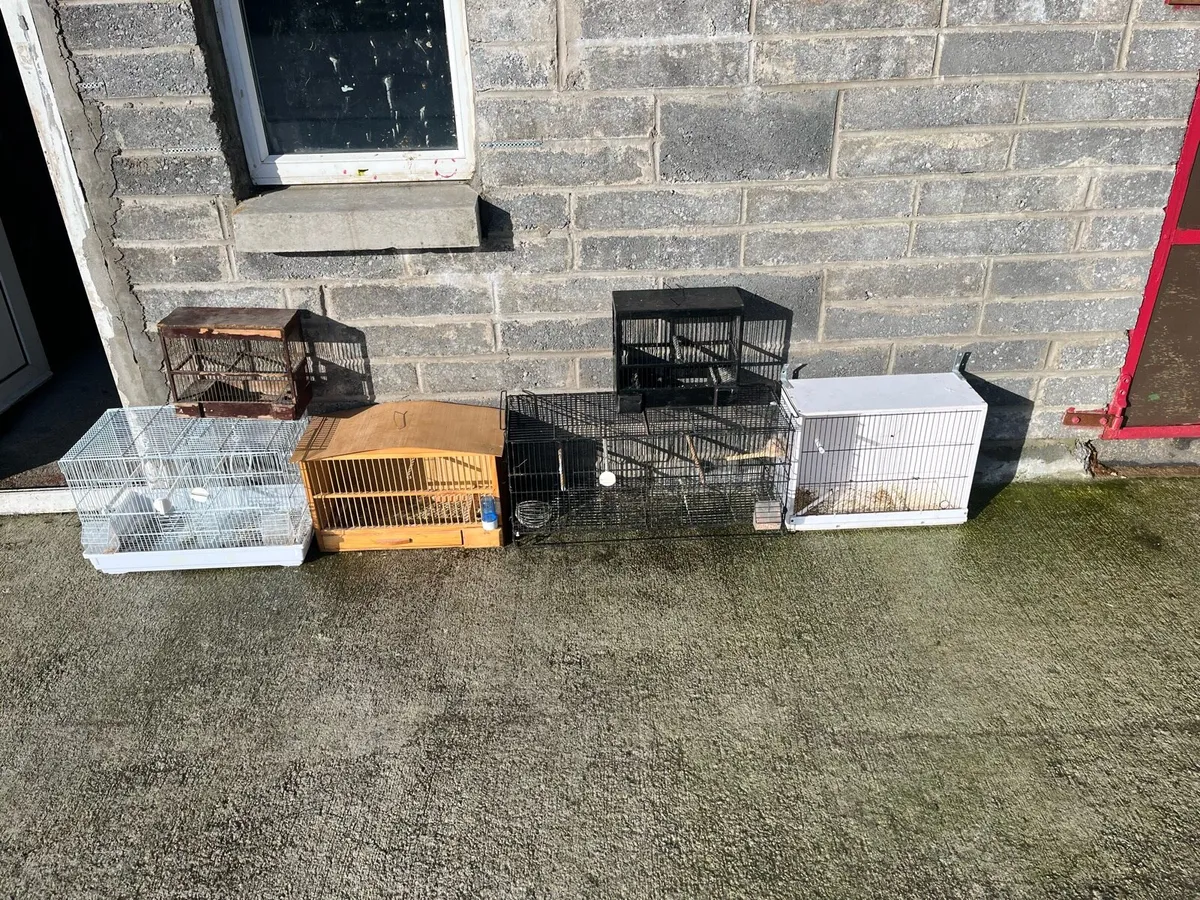 Bird cages - Image 2