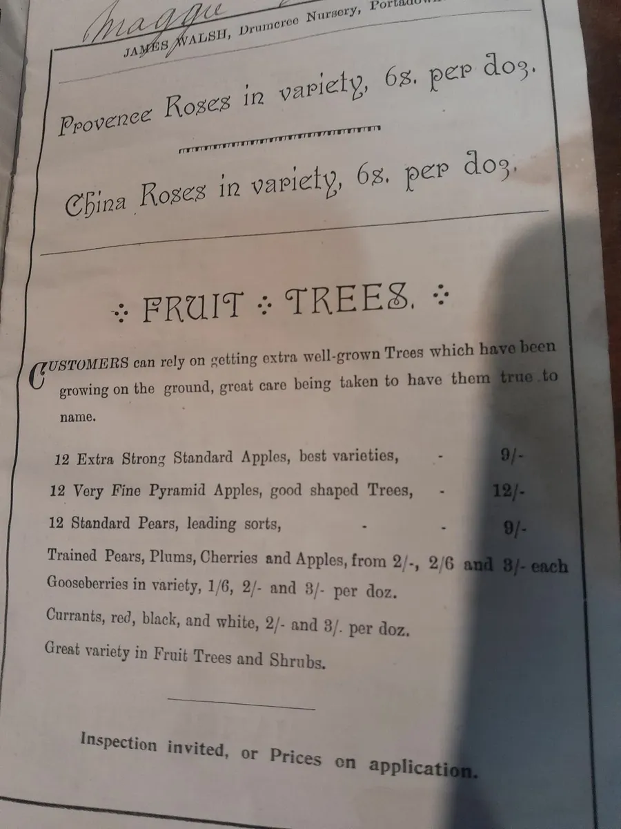 Vintage  rose  catalogue  from 1895 - Image 2