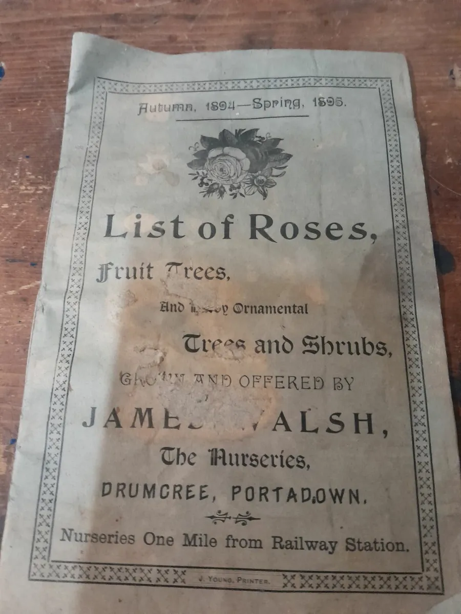 Vintage  rose  catalogue  from 1895 - Image 1
