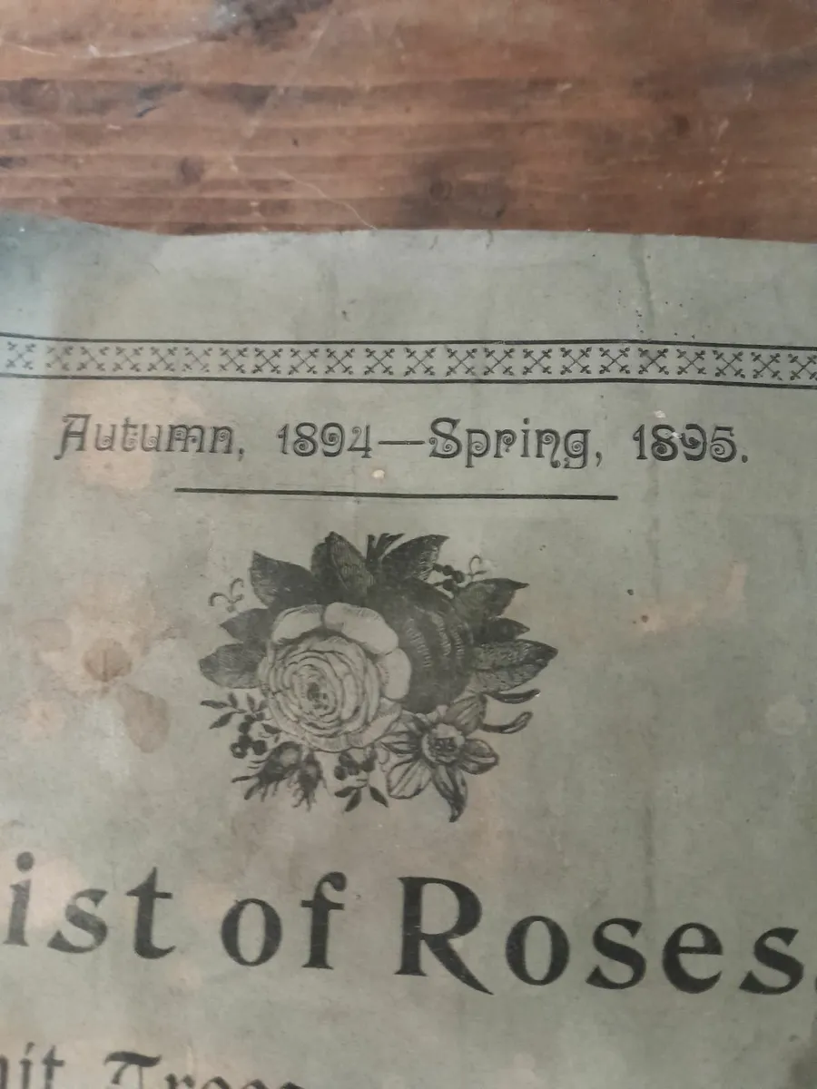 Vintage  rose  catalogue  from 1895 - Image 4