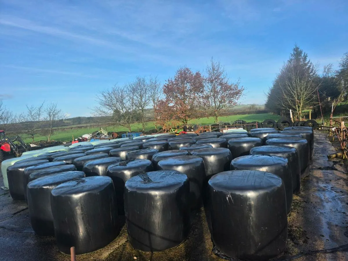 Haylage Bales - Image 2