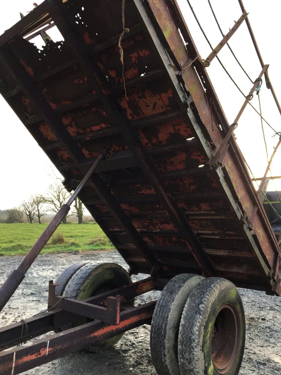 Tipping trailer - Image 1