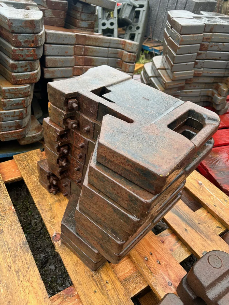 x8 Original International Weights - Image 2