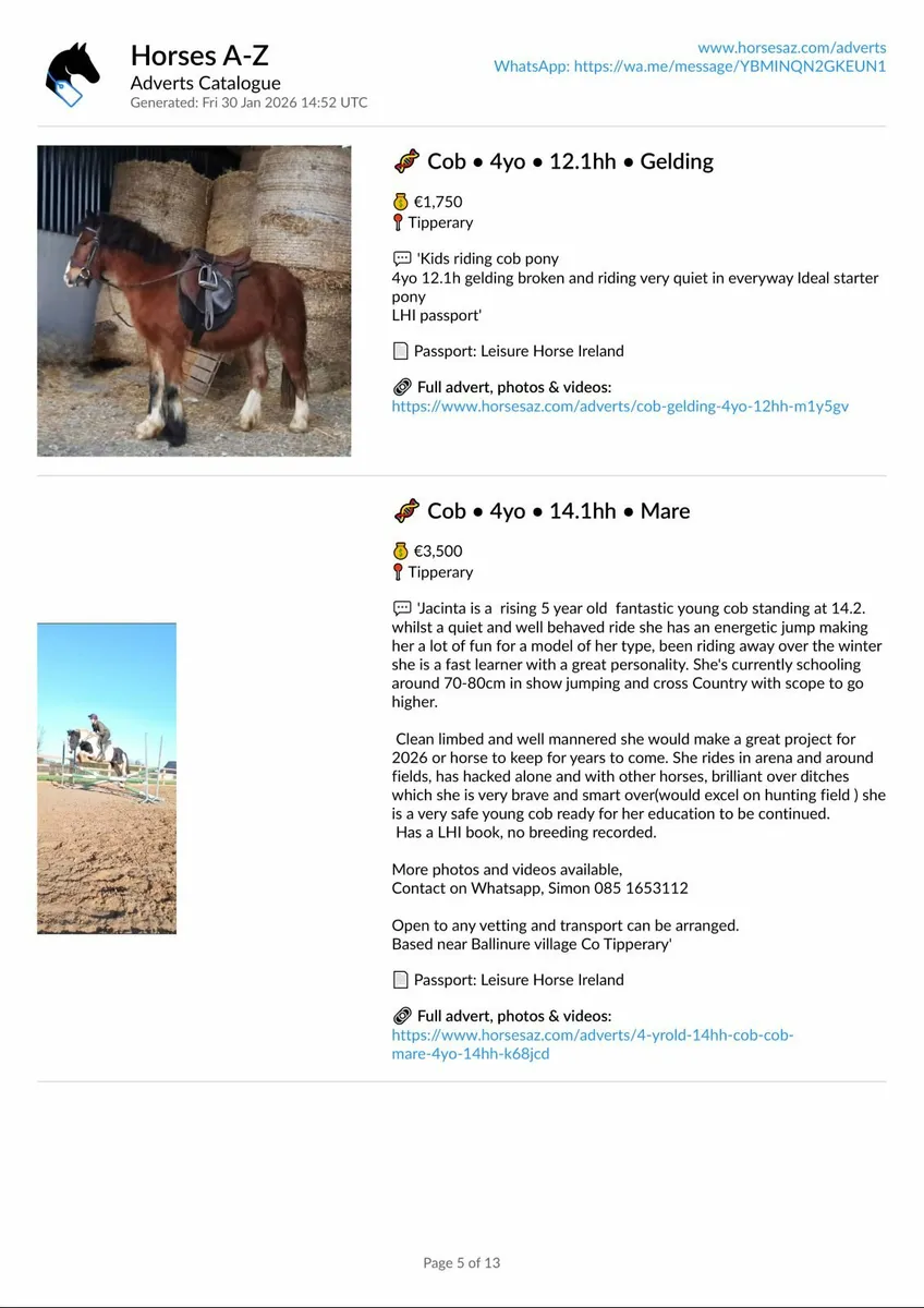 Selling? Advertise professionally with Horses A-Z - Image 2