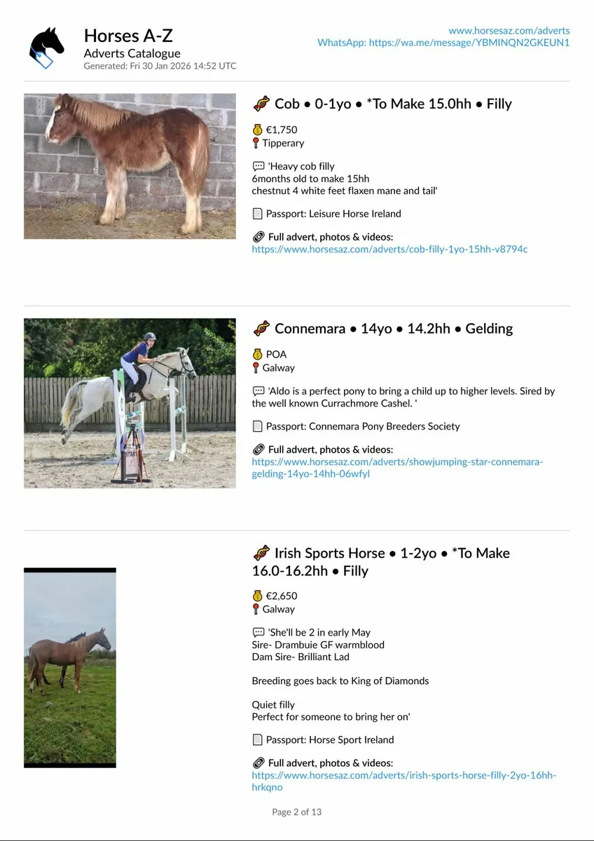Selling? Advertise professionally with Horses A-Z - Image 3