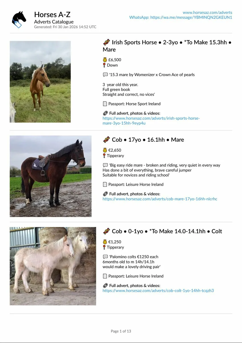 Selling? Advertise professionally with Horses A-Z - Image 1