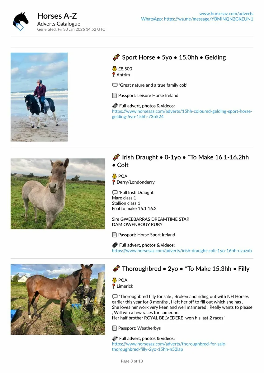 Selling? Advertise professionally with Horses A-Z - Image 4