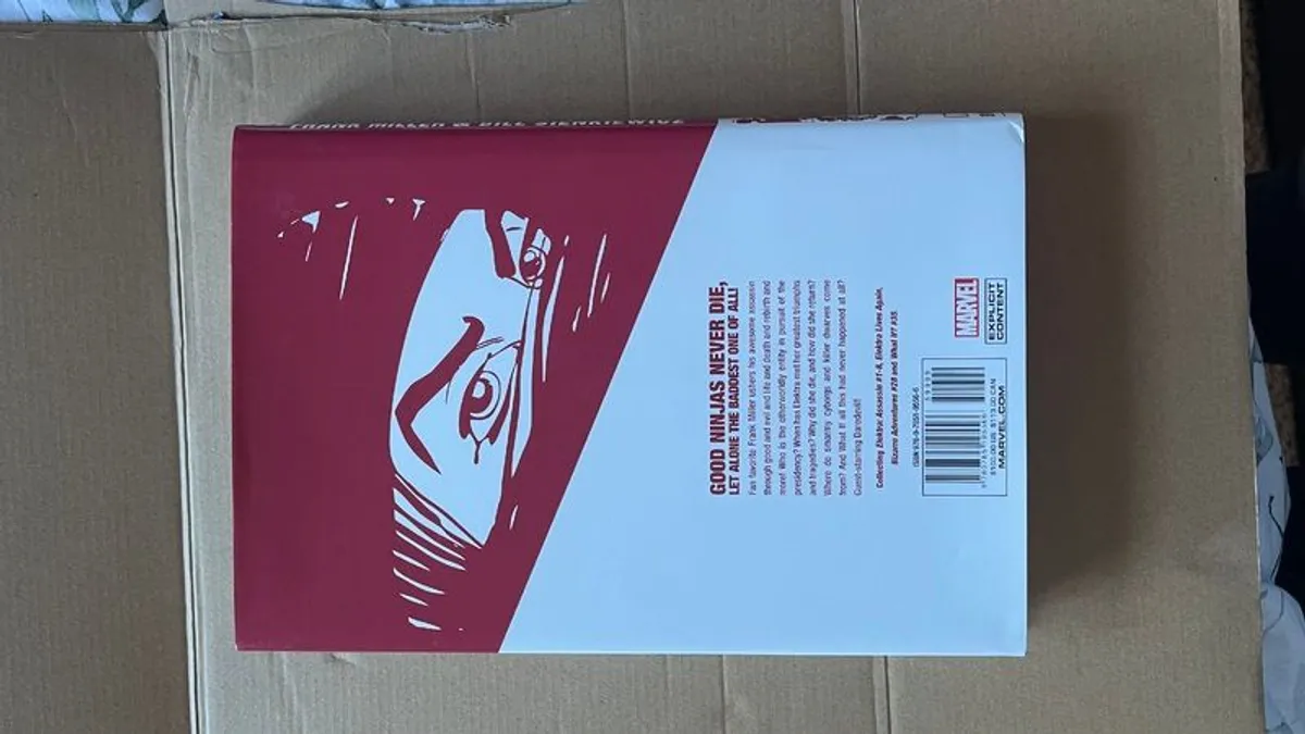 Elektra Omnibus Frank Miller - Image 2