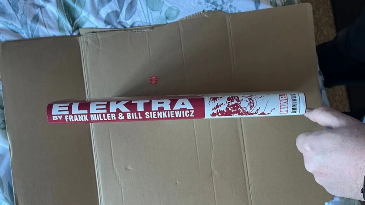 Elektra Omnibus Frank Miller - Image 3