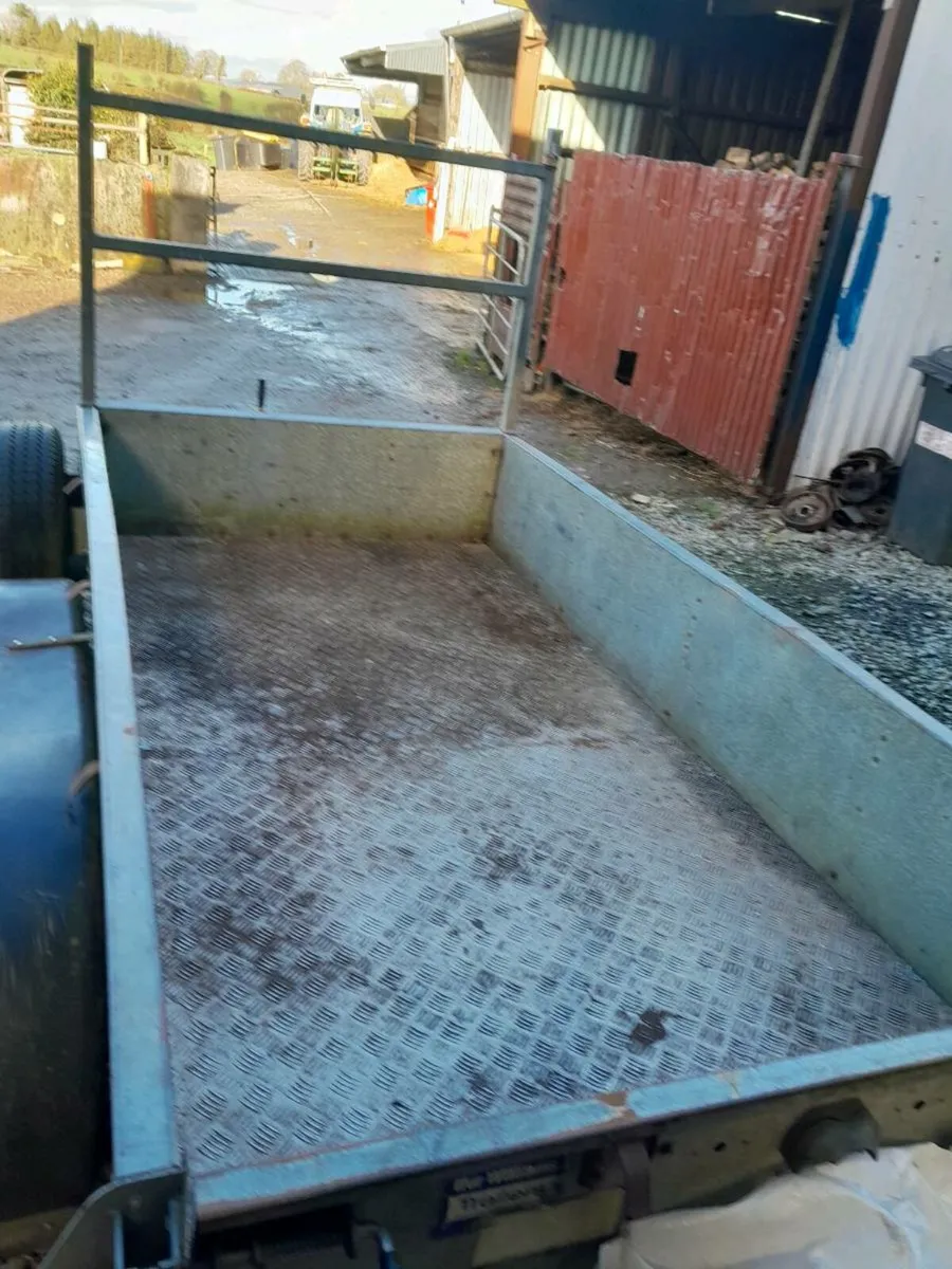 Ifor 8by4ft2 GD84 box trailer call 0868782672 - Image 2