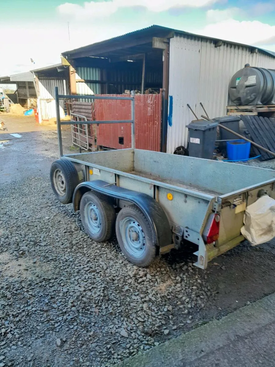 Ifor 8by4ft2 GD84 box trailer call 0868782672 - Image 3