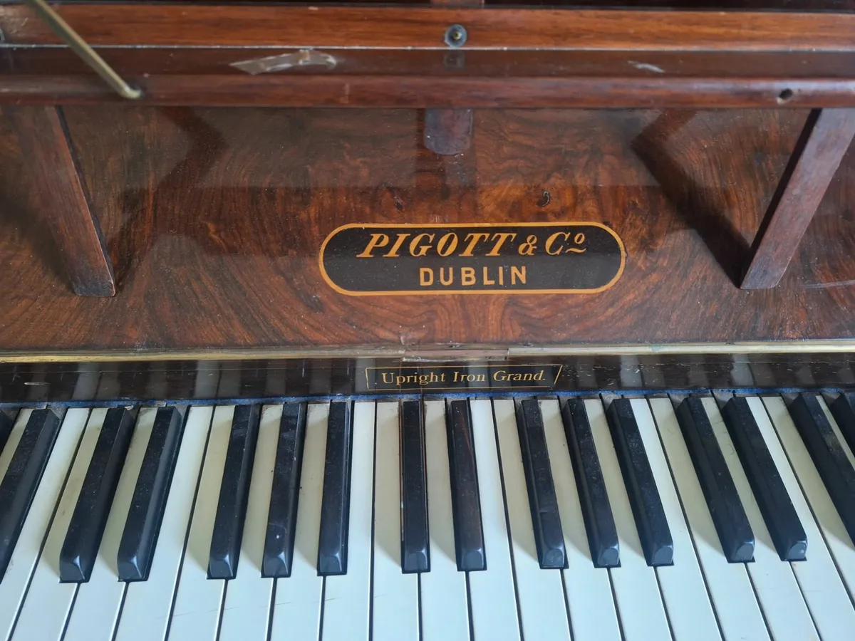 Panio And Table - Image 3