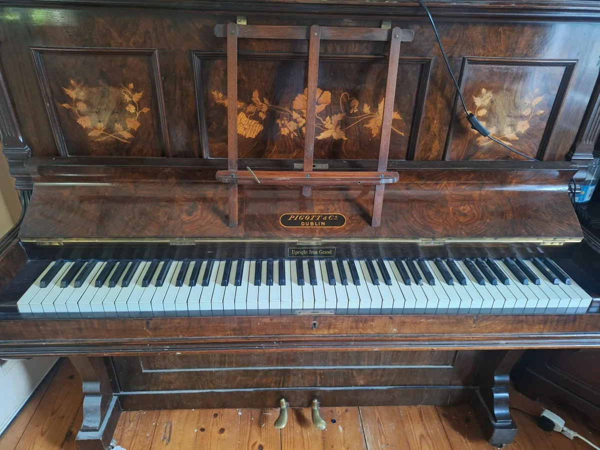 Panio And Table - Image 4