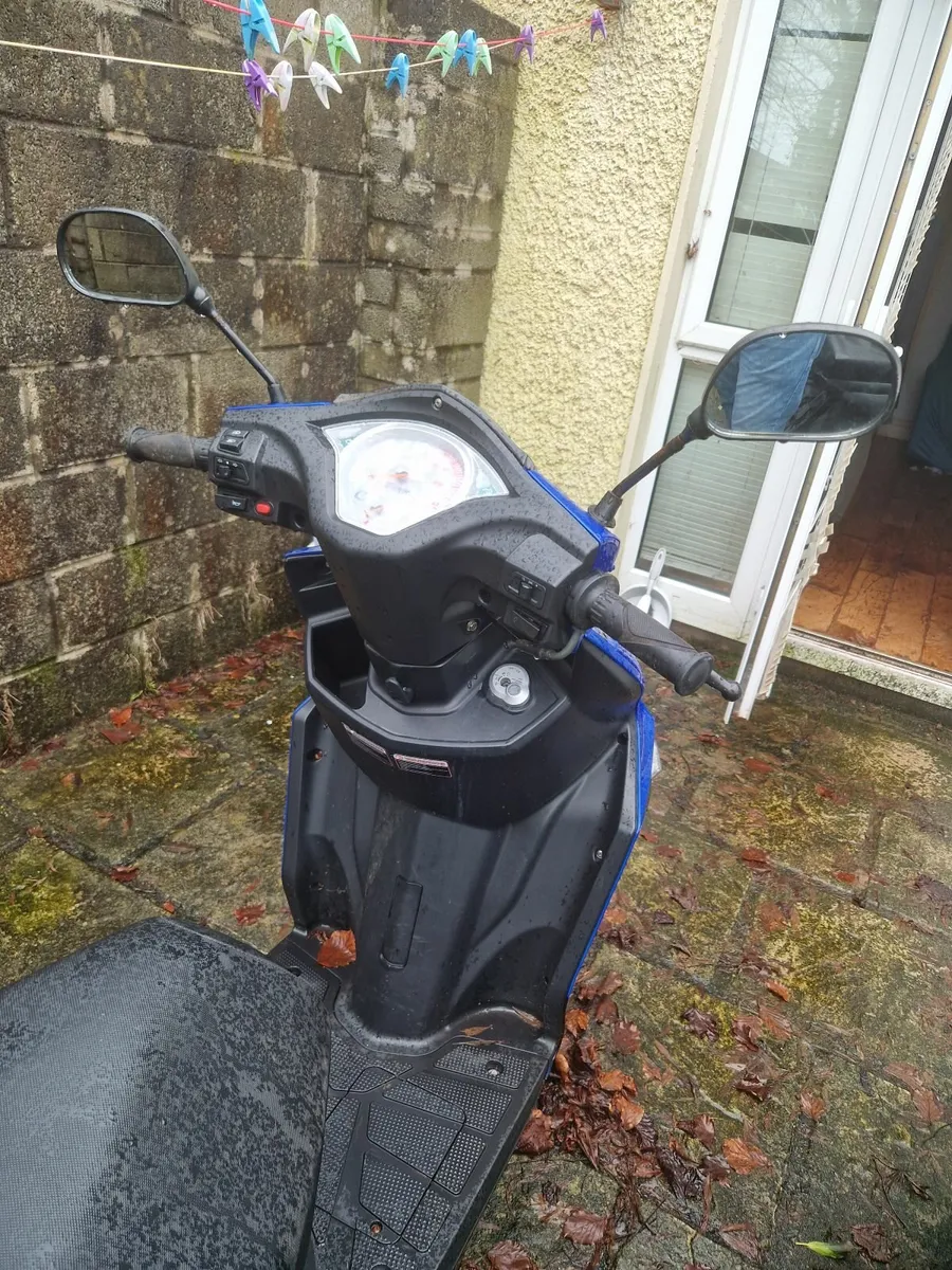 JUNAK ELEGANCE 2016 - Image 3