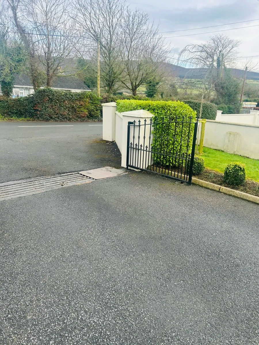 Entrance gates - Image 3