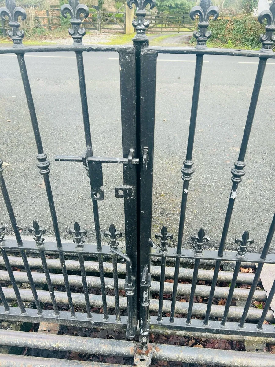 Entrance gates - Image 4