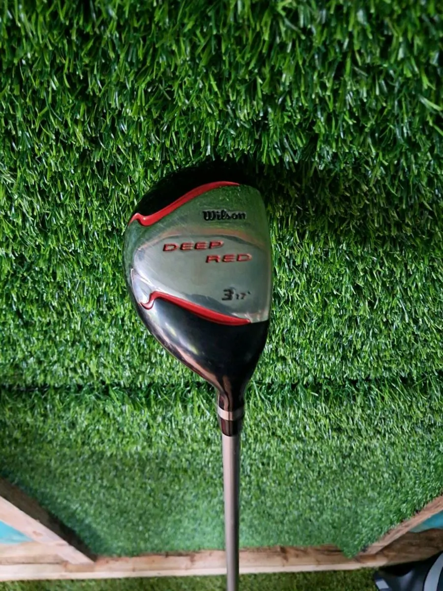 Wilson deep red hybrid - Image 1