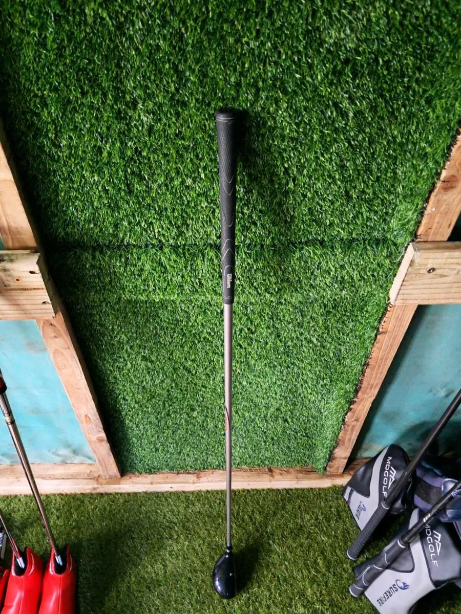 Wilson deep red hybrid - Image 4