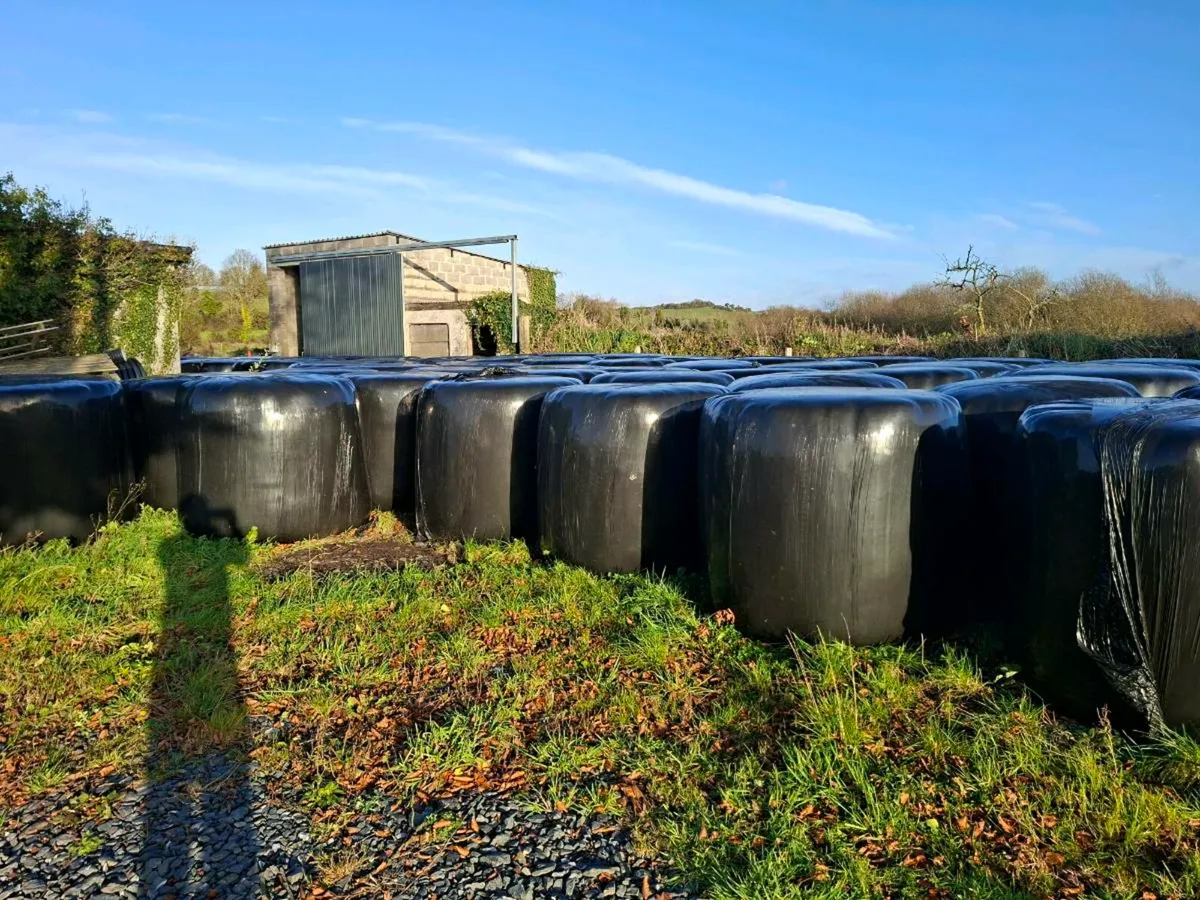 Quality Round Silage Bales 2025