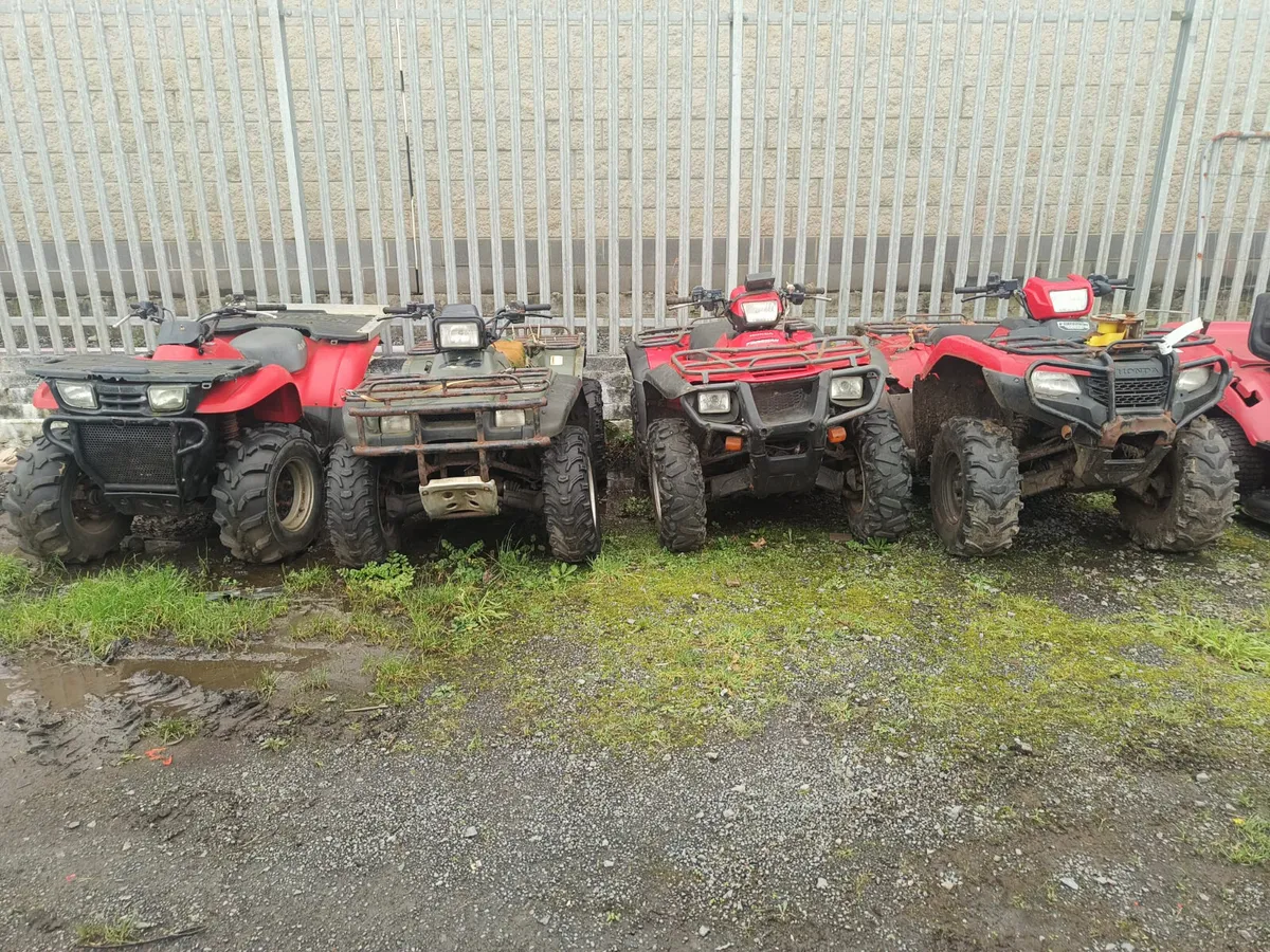 Quads - Image 3