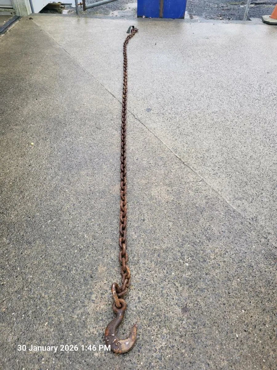 Lifting chain - Image 1