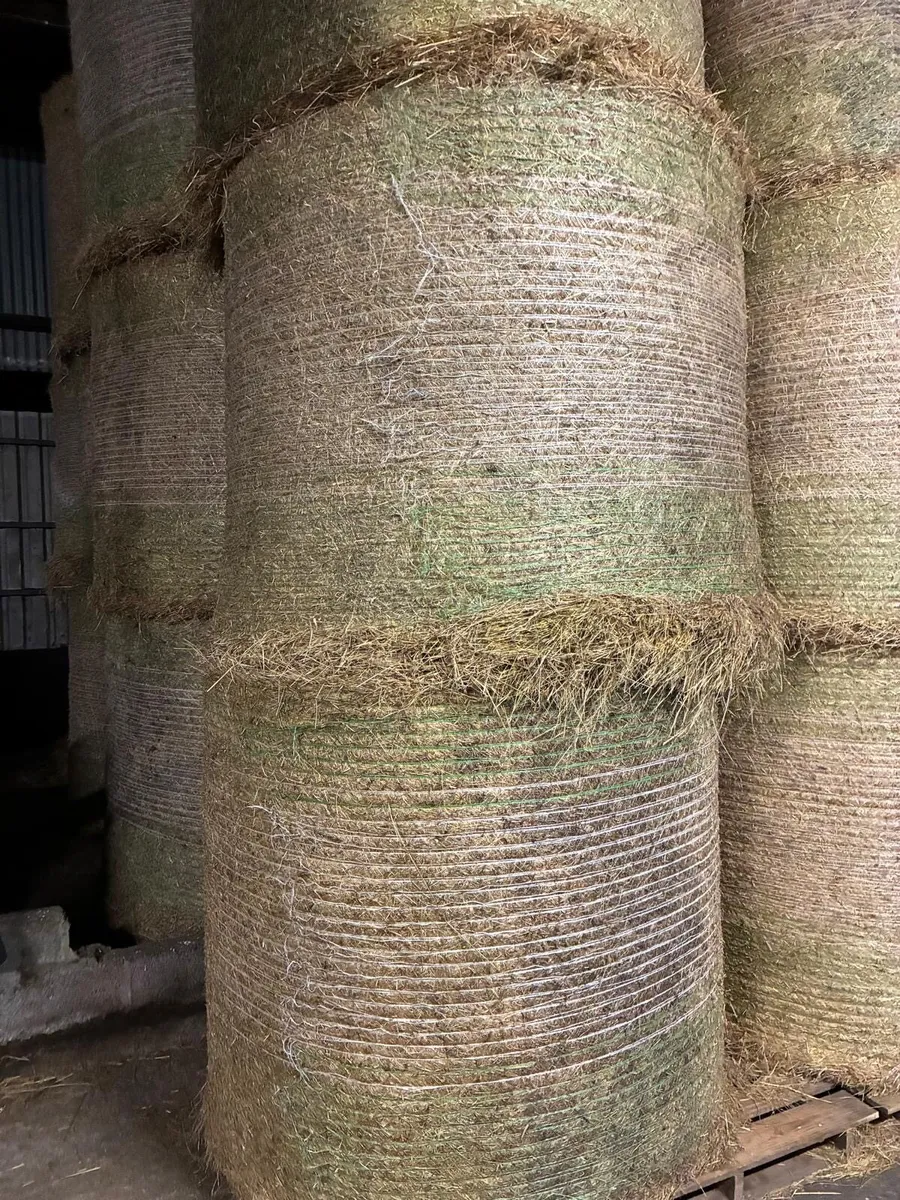 Top Quality Hay - Image 1