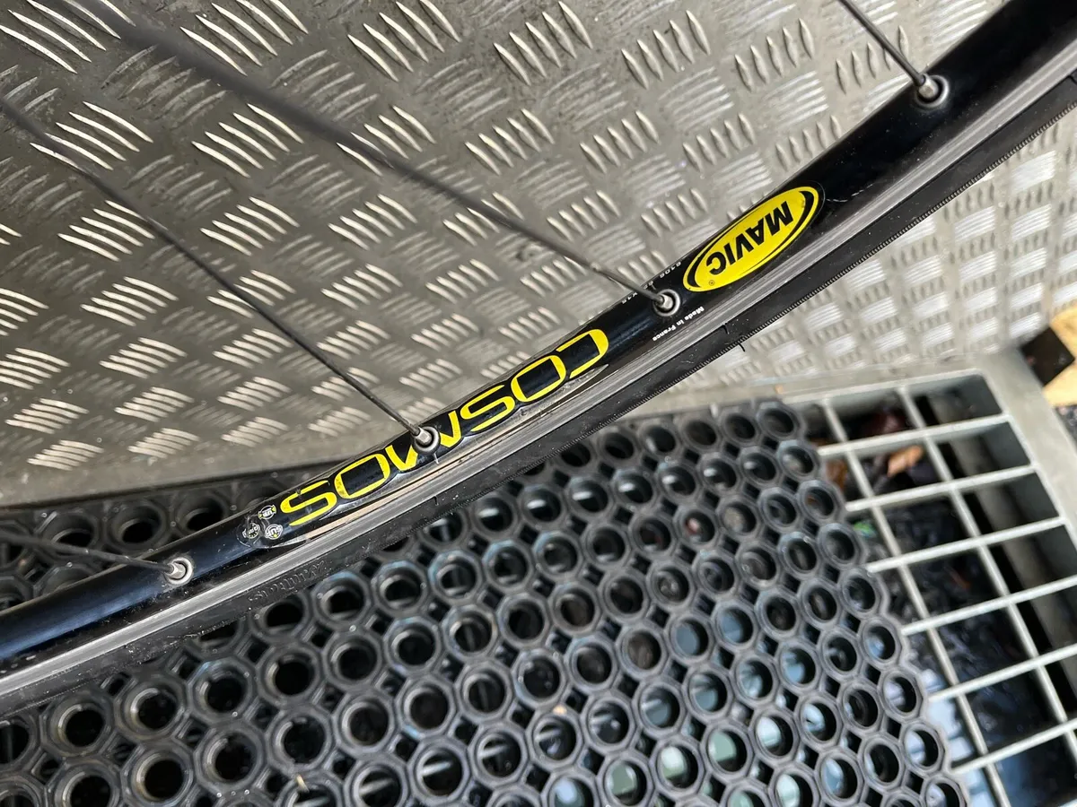 Beautiful Trek Racer - Image 3