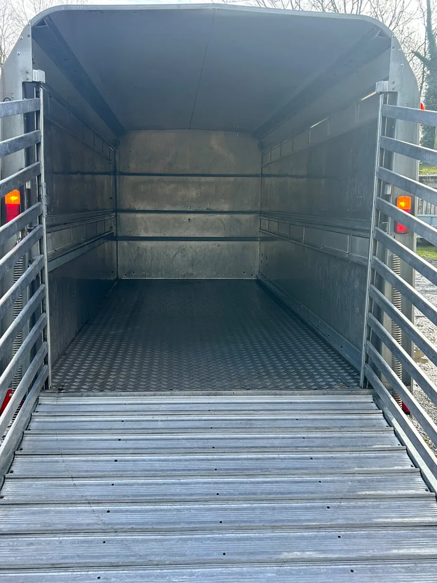 2021 Ifor Williams Ta510  14ft Tri Axle Livestock - Image 2