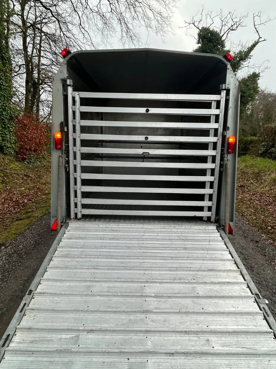 Ifor Williams Ta510 10x6  Livestock Trailer - Image 4