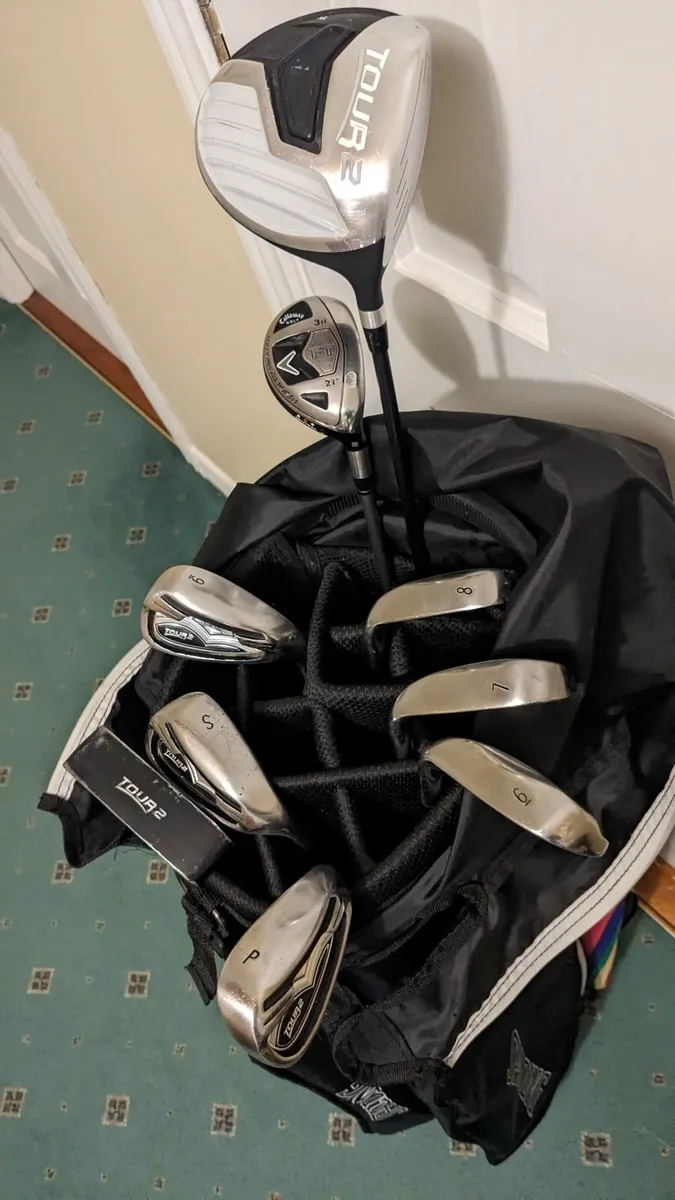 New model Spalding Ladies Clubs & New Bag. - Image 1