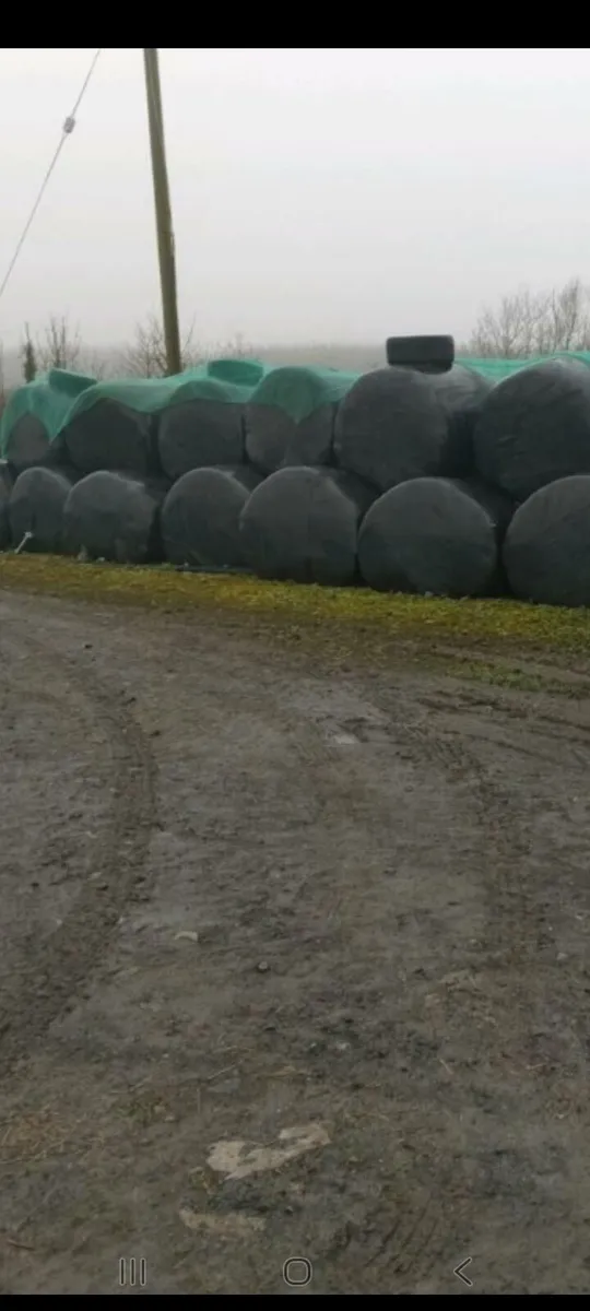 Silage bales - Image 1