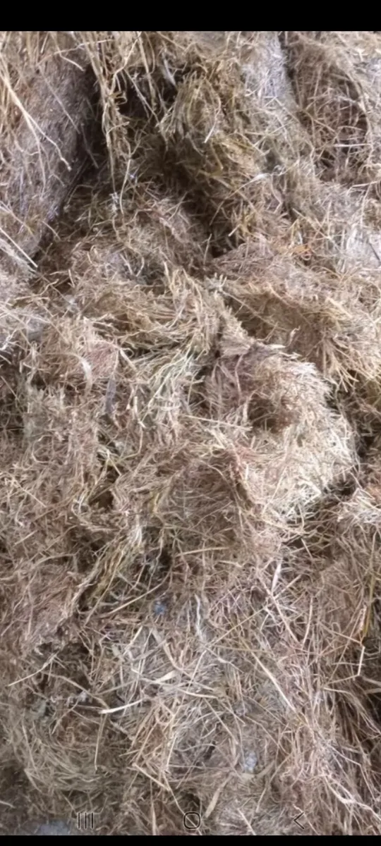 Silage bales - Image 3